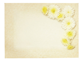Old vintage paper frame with white aster flowers