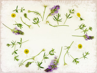 Wild flowers frame on white background