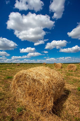 field with haystacks and blue sky
