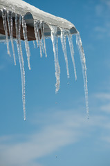 Thawing icicles with water drops falling against blue skies