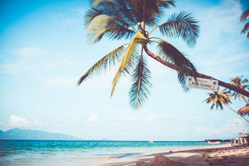 tropical beach scenery of Koh Samui. Vintage card in retro colors