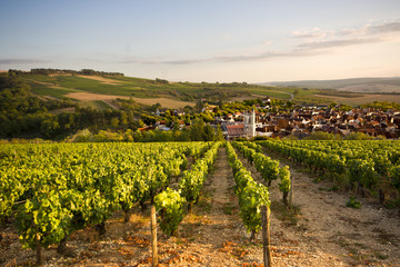 Plein soleil sur Irancy 89