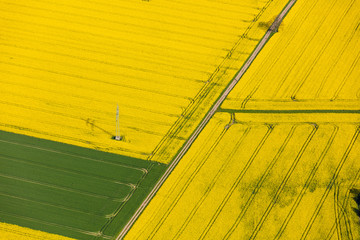 Luftaufnahme von Feldern in Norddeutschland