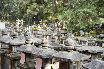 Kasuga Taisha Lanterns