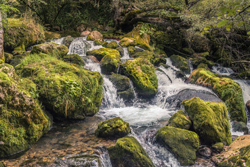 Mountain waterfall. On mossy rocks, flowing mountain river