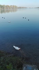 Idroscalo di Milano