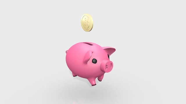 pig piggy Bank collects coins