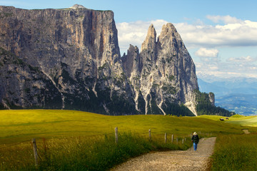 Sciliar mountain in Dolomite Alps. View from Alpe di Siusi, Italy