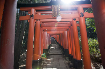 torii tunnel