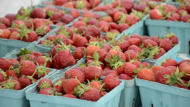 Cartons of fresh strawberries, closeup.