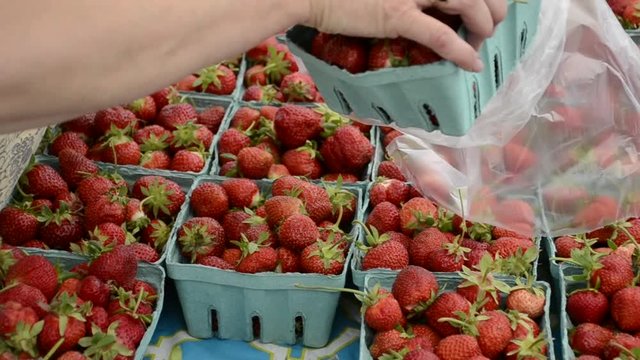 Shopping for strawberries at farmer's market.