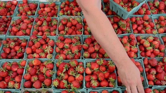Cartons of fresh strawberries for sale.