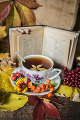 autumn still life with a cup of tea