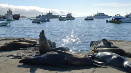 Ecuador, Galapagos, Santa Cruz Island