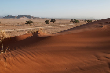  namibian desert