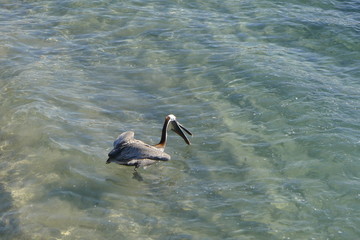 Ecuador, Galapagos, Santa Cruz Island