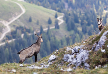 Eng and Plumsjoch in the Karwendel mountains