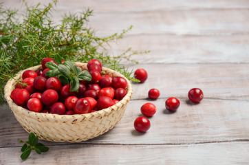 Fototapeta na wymiar Harvest fresh red cranberries in wicker basket, selective focus, copy space