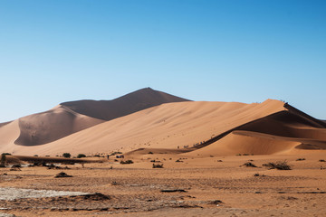 Obraz na płótnie Canvas namibian desert