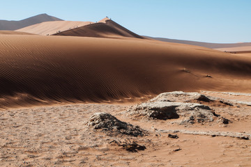  namibian desert