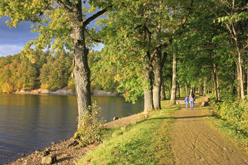 Autumn forest and river