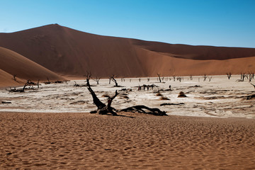 namibian desert