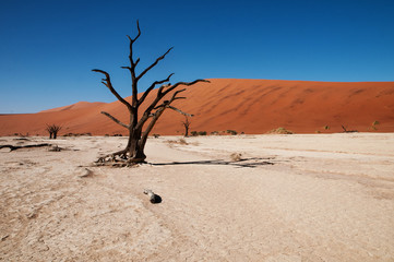 namibian desert