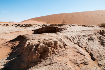 namibian desert