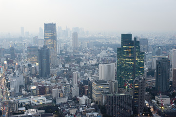 Fototapeta na wymiar tokyo midtown