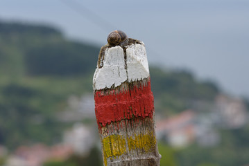 Wegmarke am Jakobsweg in Spanien mit Schneckenhaus