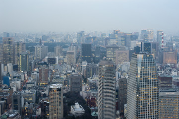 tokyo metropolis