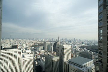 Fototapeta na wymiar tokyo skyline