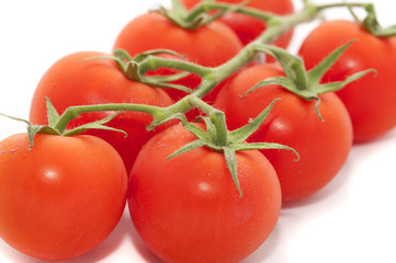 Big Red Tomatoes in a Vine on White Background