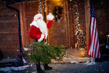 Santa Claus with Christmas tree