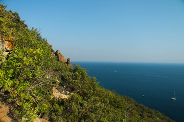 Крым. Берег.