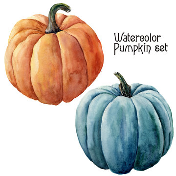 Watercolor pumpkin set. Hand painted orange and blue vegetables isolated on white background. Autumn pumpkin print for design