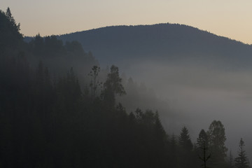 at morning dawn mist over forest in mountains
