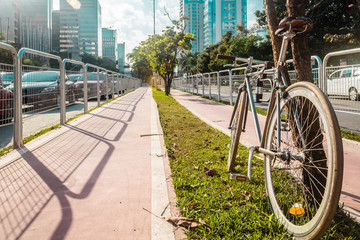 Bike Path in the Streets of Sao Paulo, Brazil (Brasil) - 124385433