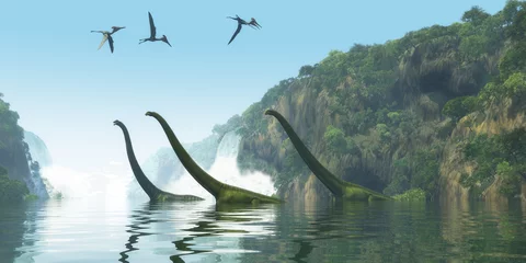 Deurstickers Dinosaurus Mamenchisaurus Dinosaur Foggy Day - Two Mamenchisaurus dinosaur adults escort a youngster across a river as Pterodactylus birds search for fish prey.