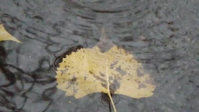 pluie