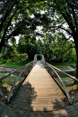 Ryman&oacute;w Zdr&oacute;j-kładka