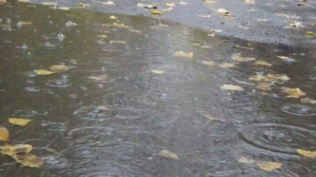 pluie