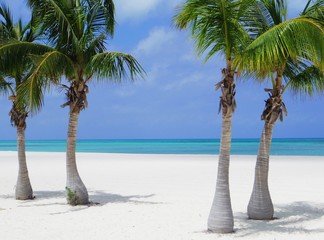 Paradise Island Beach