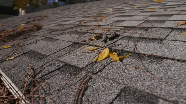 Rising From Clogged Gutter To Roof Shingles. A Rising Shot From A Clogged Gutter With Leaves To The Grey Shingles On A Garage Roof During The Fall Season
