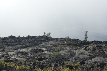 Volcanic landscape