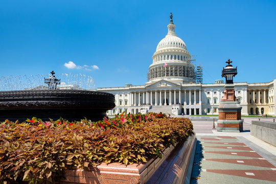 The United States Capitol in Washington D.C.