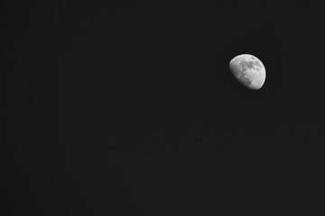 Image of half moon at night close up.