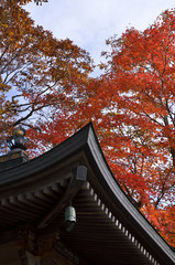 紅葉と神社の軒下