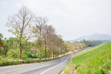 Fototapeta premium Landscape of the road in countryside in Thailand