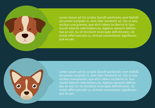 Dog and Pet Care Infographic 1
